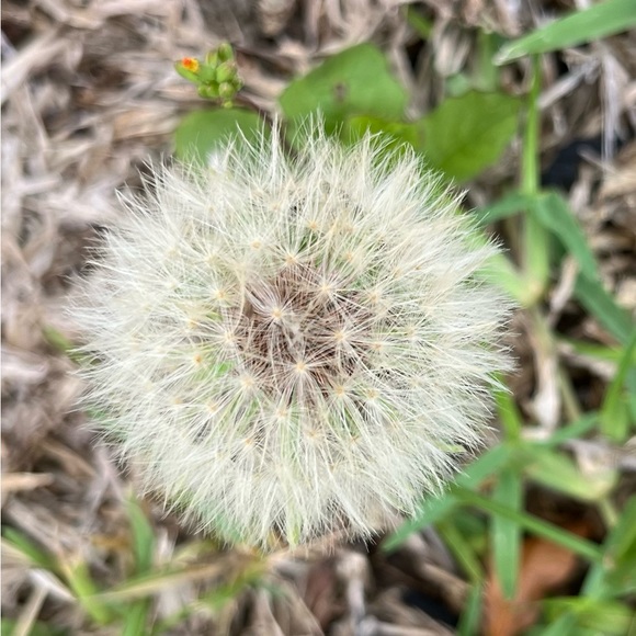 Meet Your Posher, Margaret - Picture 15 of 16